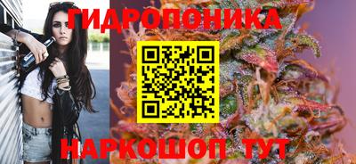 скорость Будённовск