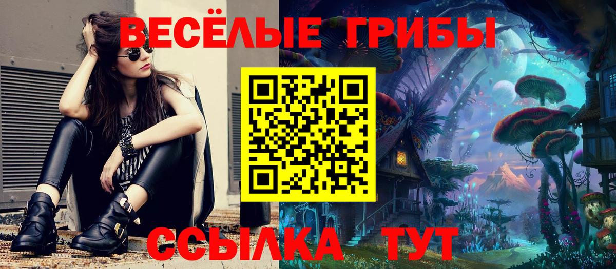 Псилоцибиновые грибы мицелий Малгобек
