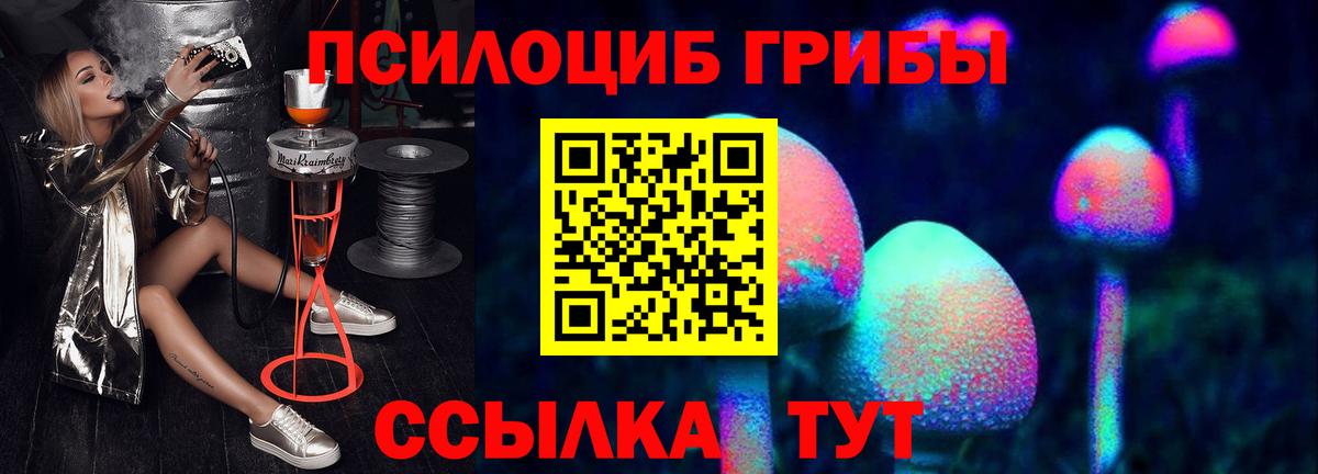 Малгобек  Псилоцибиновые грибы GOLDEN TEACHER  наркотики  Вход с VPN 