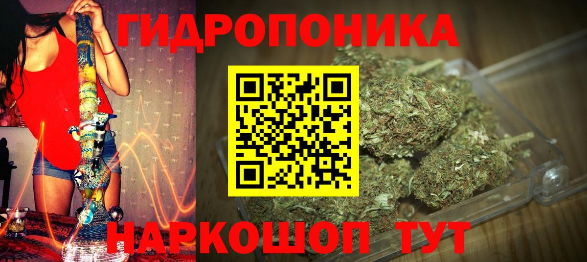 Марихуана гибрид Малгобек